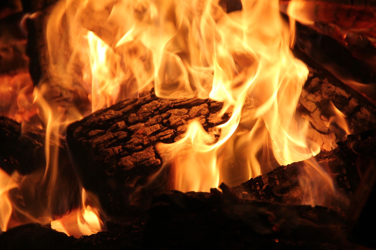 Professional Fireplace Cleaning Services In Troy Michigan